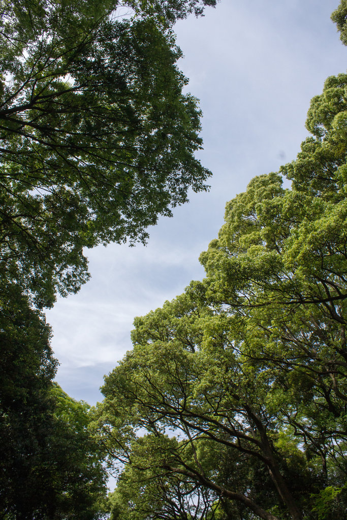 Meiji-jingū