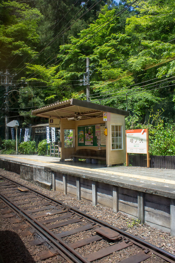 Fuji-hakone-izu National Park