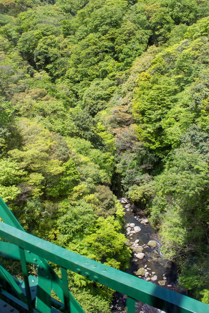 Fuji-hakone-izu National Park