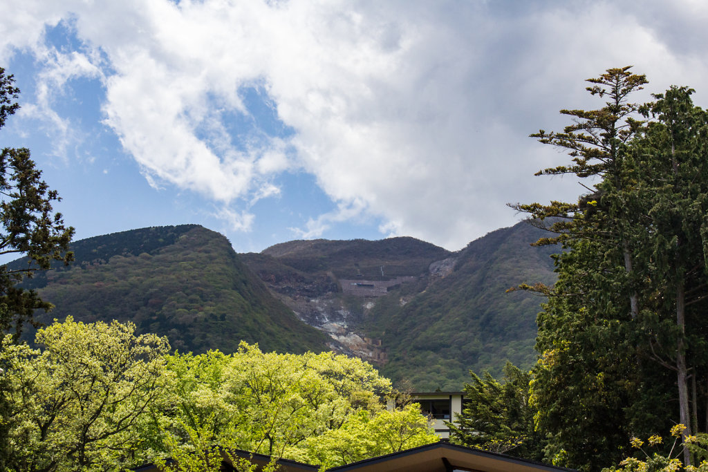 Fuji-hakone-izu National Park