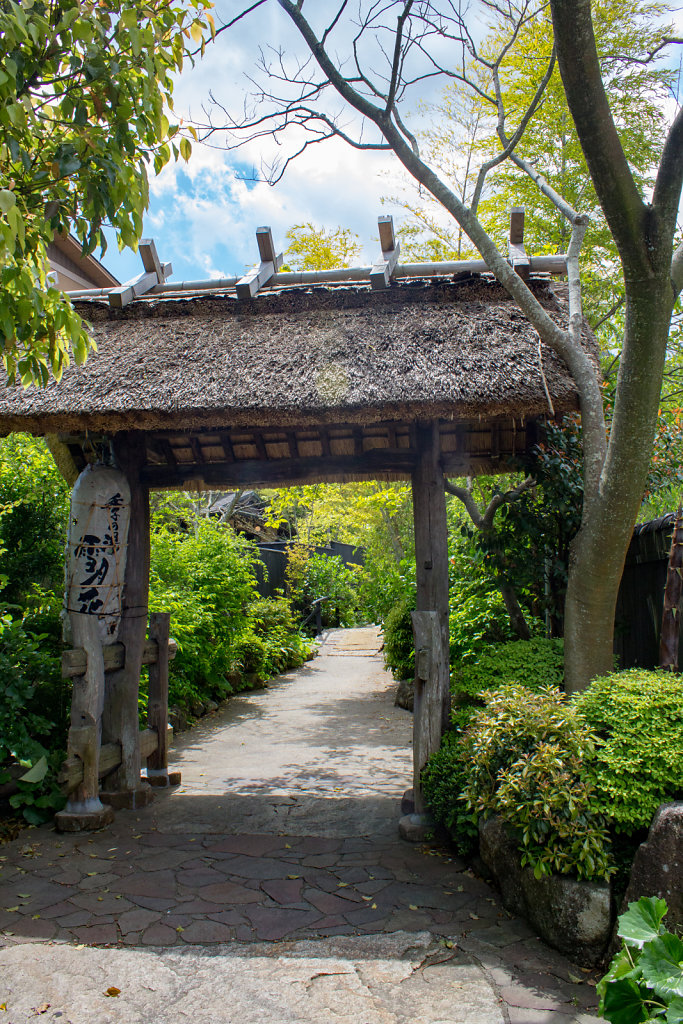 Fuji-hakone-izu National Park