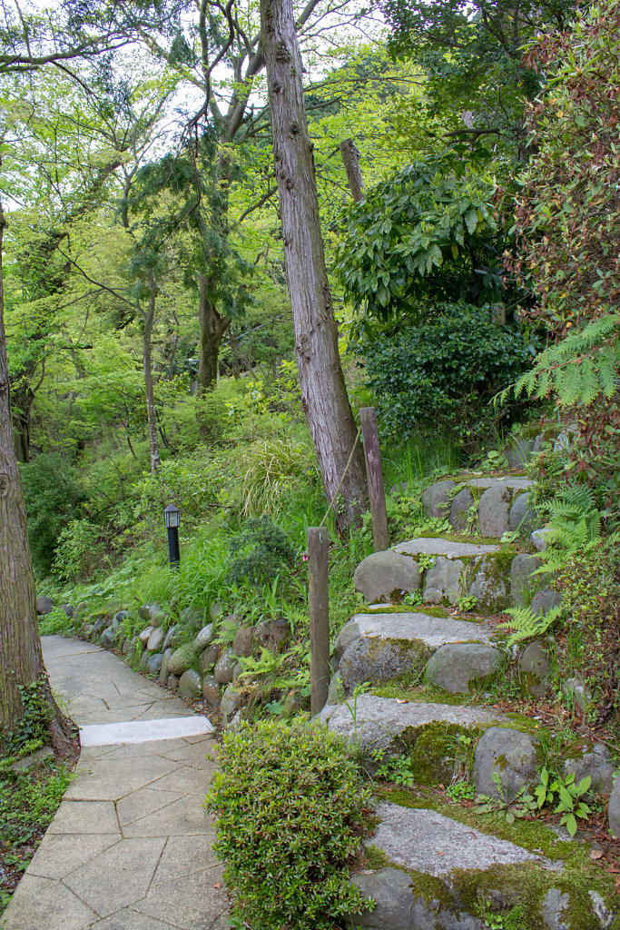 Fuji-hakone-izu National Park