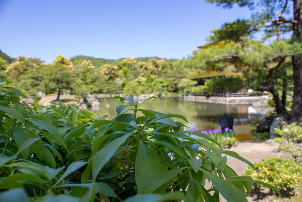 Kinkaku-ji