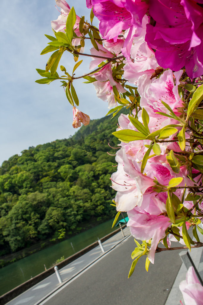 Kameyama Park