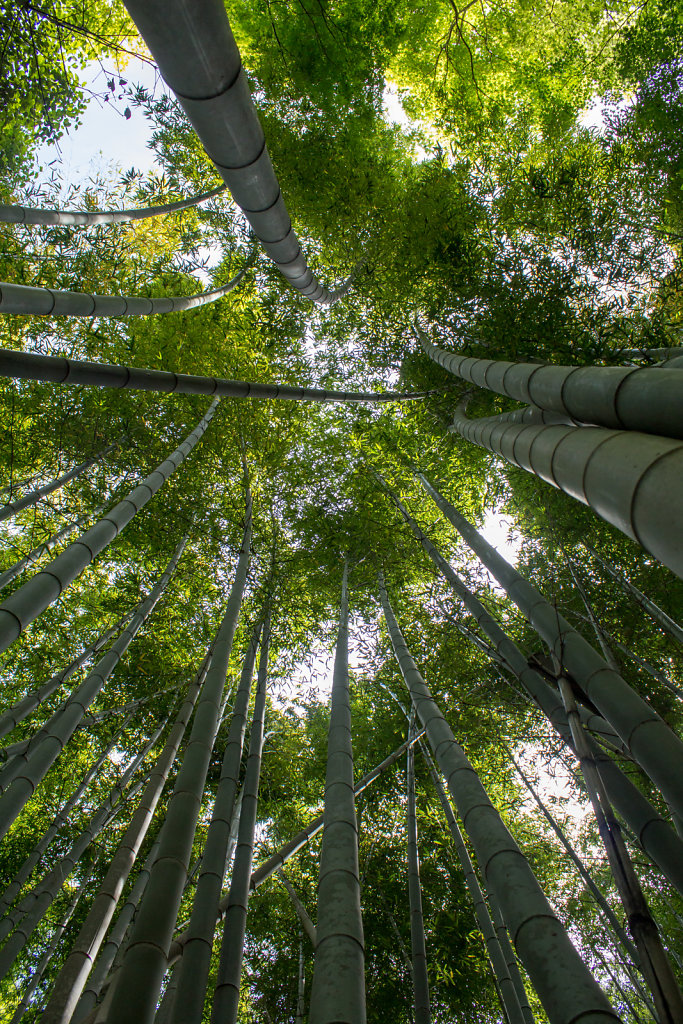 Kameyama Park