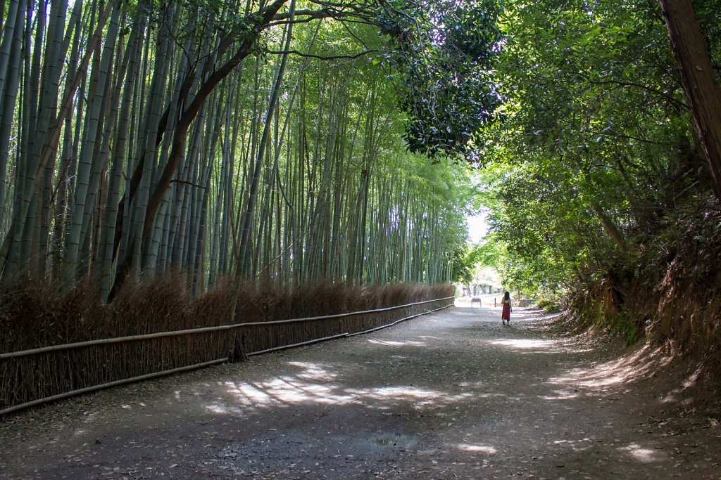 Kameyama Park