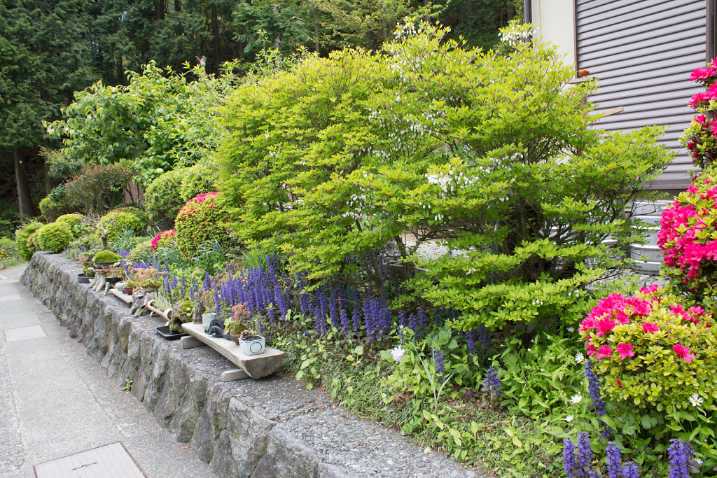 Fuji-hakone-izu National Park