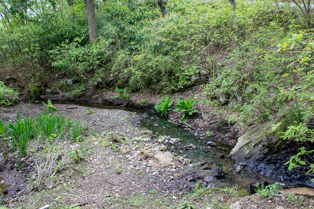 Fuji-hakone-izu National Park