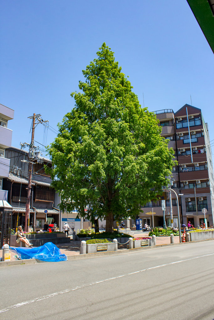 Kyoto